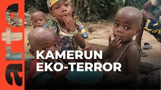 Kamerun: zachodni eko-terror | ARTE.tv Dokumenty