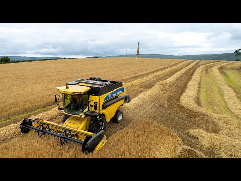 Purcell Farms combining winter barley outside Limavady at the Beresford Monument 2022