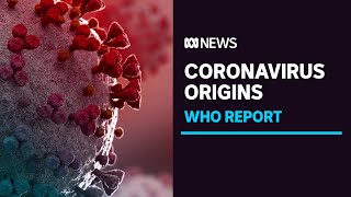 Concerns over delays, lack of access for COVID origin report | ABC News
