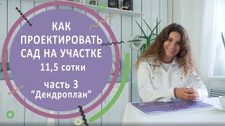 Как проектировать сад на участке 11,5 сотки. Часть 3