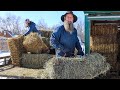 A Day in our Life living Off Grid and Homesteading