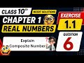 Class 10 Maths Ex 1.1 Q-6 | NCERT Solutions |  Explain Composite Number 🔥 | Real Numbers