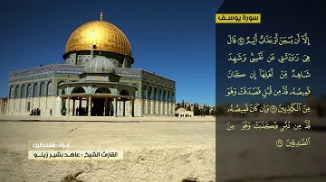 عاهد زينو سورة يوسف