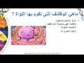 الأحياء (مطور) - صف 10- التراكيب الخلوية والعضيات ج2