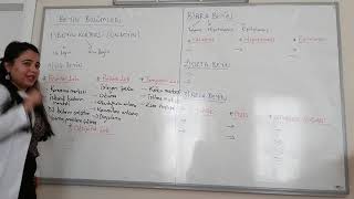 3. HAFTA ANATOMİ VE FİZYOLOJİ 10. SINIF 1. DERS