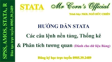 28.10.2022 Hướng dẫn STATA | Các câu lệnh nền tảng dữ liệu Bảng, Thống kê & Phân tích tương quan