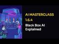 Video 164 Black Box AI Explained