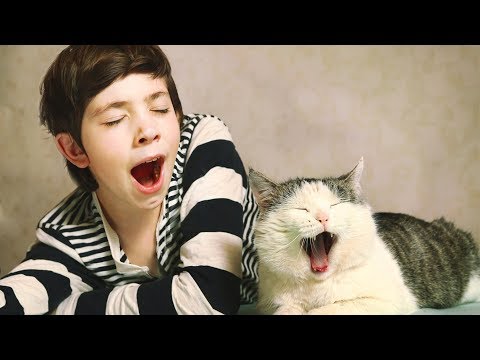 5 ПРИЧИН ПОЧЕМУ ЛЮДИ ЗЕВАЮТ 🥱 5 REASONS WHY PEOPLE YAWN @TOMYSEYE