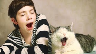 5 ПРИЧИН 😵 ПОЧЕМУ ЛЮДИ ЗЕВАЮТ /5 REASONS WHY PEOPLE YAWN/ TOMY'S EYE 5 ПРИЧИН 😵 ПОЧЕМУ ЛЮДИ ЗЕВАЮТ /5 REASONS WHY PEOPLE YAWN/ TOMY'S EYE