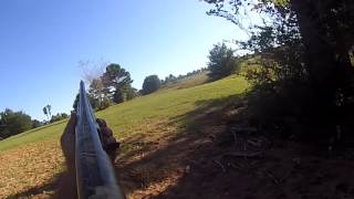 Alabama dove hunt 2016