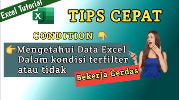 Cara cepat mengetahui data excel dalam kondisi terfilter atau tidak - Excel tutorial filter data