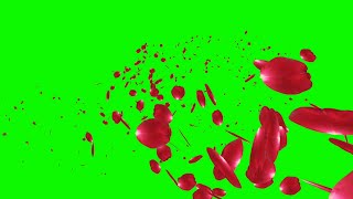 Flying Rose Petals Green Screen Animation Effects Full HD video Flying Rose Petals Green Screen Animation Effects Full HD video
