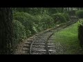 [12시간] 숲속의 기찻길, 철로에 내리는 비오는 풍경, 빗소리 ASMR