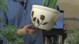How to Care for House Plants : Picking House Plant Pots How to pick house plant pots; get professional tips and advice from an expert on caring for indoor plants and flowers in this free