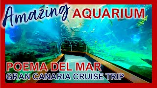 Amazing Aquarium  Poema Del Mar walkthrough | Gran Canaria Cruse Port Trips