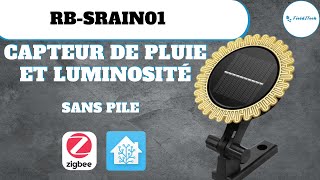 Capteur Pluie Et Luminosité Zigbee Rb-Srain01 Test Intégration Home Assistant Zha Z2M