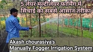 5 लेयर मल्टीलेयर फार्मिंग में सिंचाई का सबसे सस्ता और आसान तरीका।manually fogger errigation method|