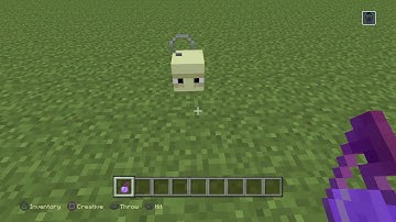 Invisible Shulker