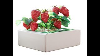 Кладовая Природы Домашняя Ягодница
