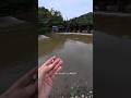 Best fishing techniques to hunt fish with best fishing rod and best fishing #viral #fishing #carp