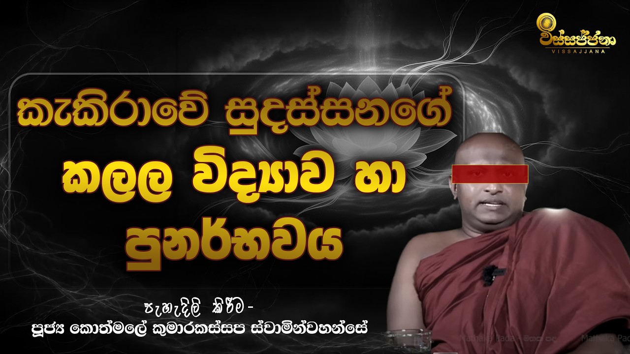 සිතක් දෙකට බෙදිය හැකිද? | කැකිරාවේ සුදස්සන හිමිගේ කලල විද්‍යාව සහ පුනර්භවය | Vissajjana