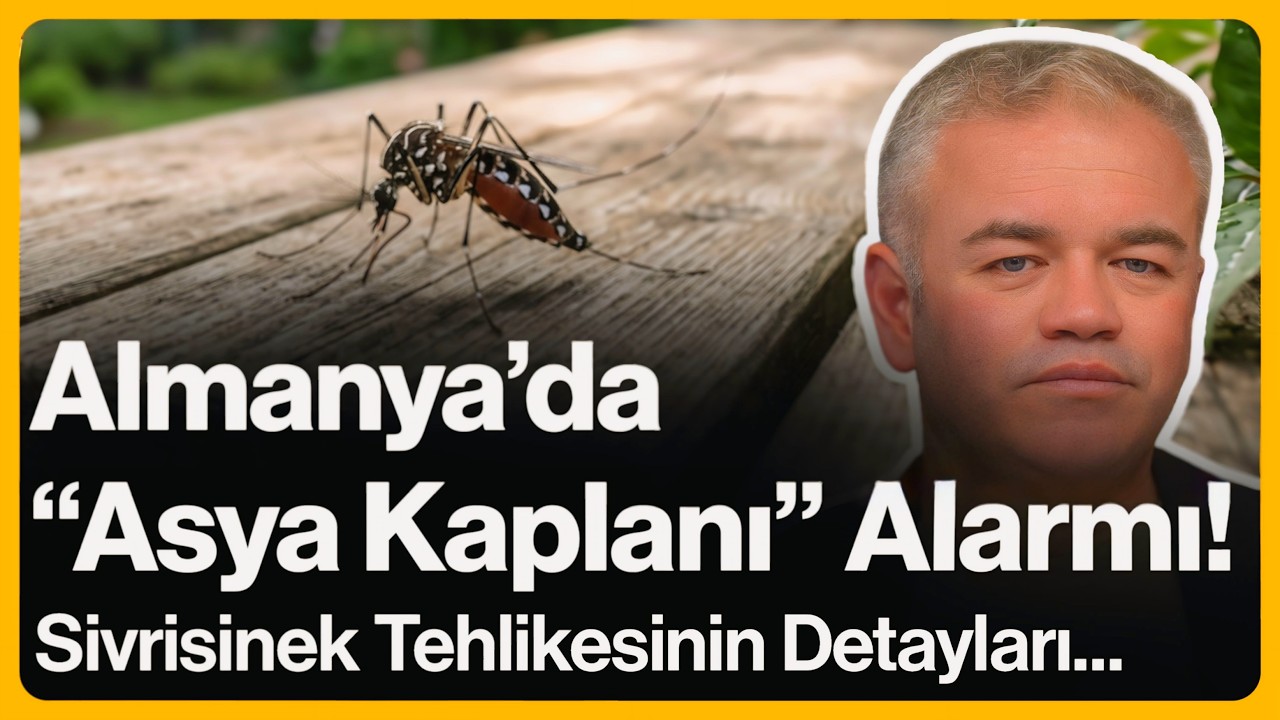 Almanya’da "Asya Kaplanı" Alarmı! Sivrisinek Tehlikesinin Detayları... | 29 Mayıs 2026