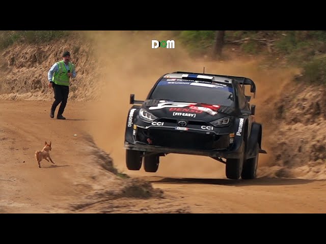 WRC RALLY PORTUGAL 2024⚠️ class=