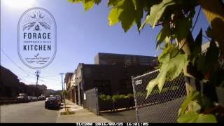 Forage Kitchen Build Out Time Lapse