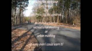 Mushing 101: part one