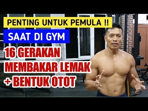 Video: Cara Menurunkan Berat Badan Dan Membakar Lemak Saat Berolahraga Di Gym