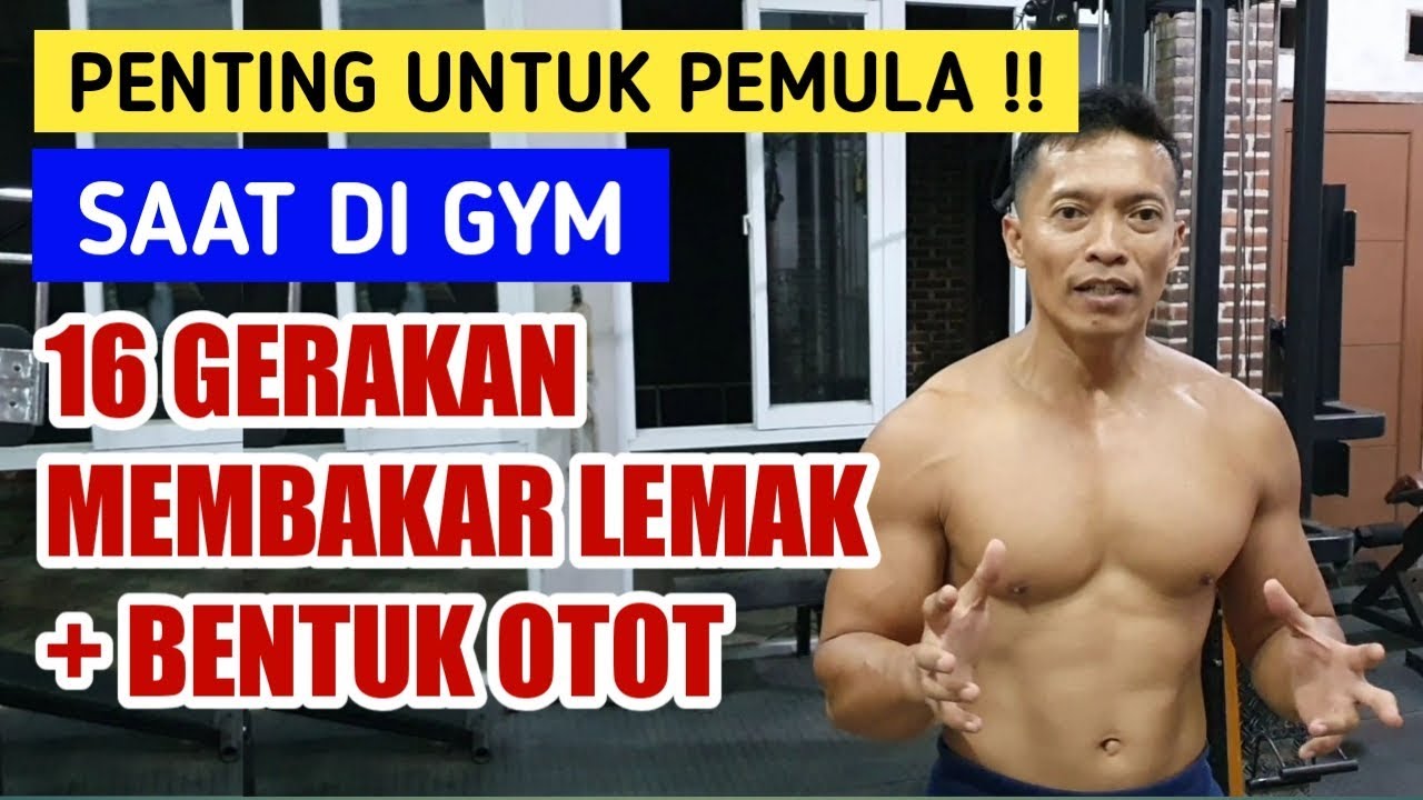 Bakar lemak dan membentuk otot saat di gym circuit training YouTube