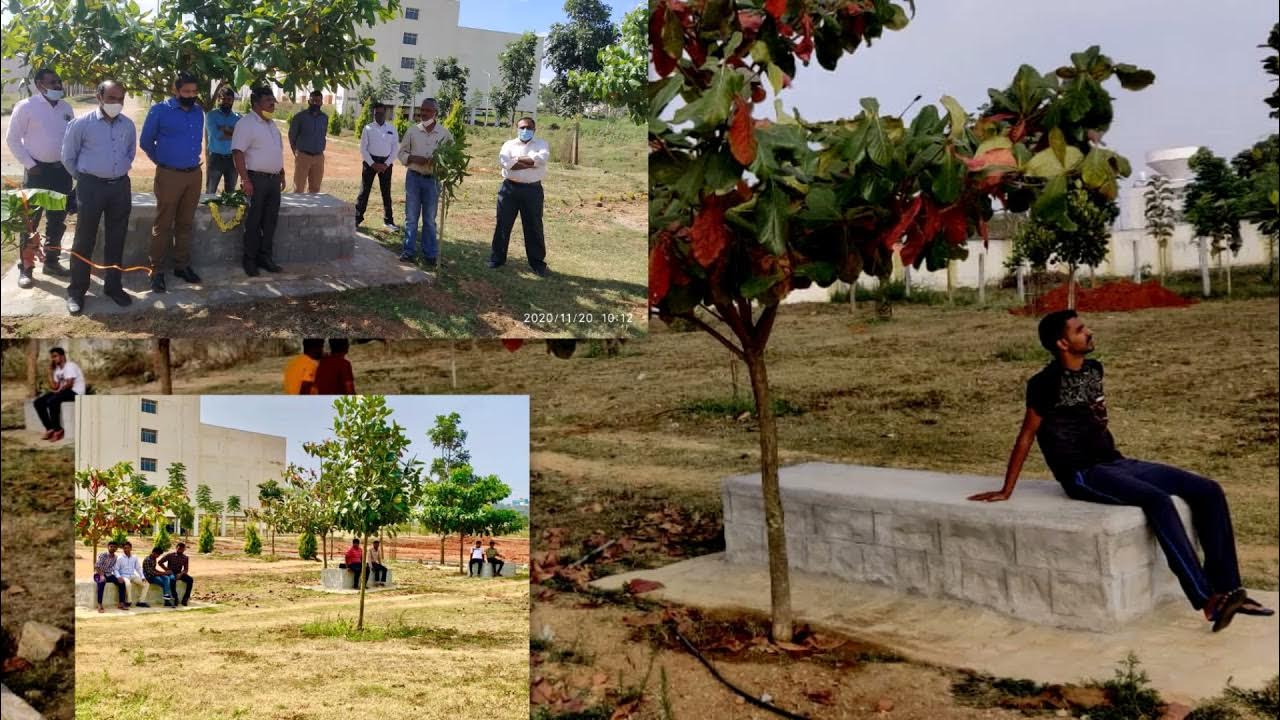 Green Initiative at Boys Hostel, Veterinary College,Hassan YouTube