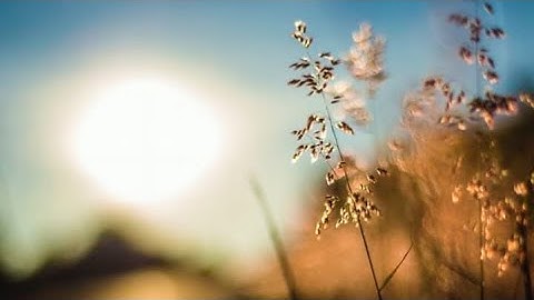 سورة الأنبياء بصوت الشيخ أبوبكر الشاطري