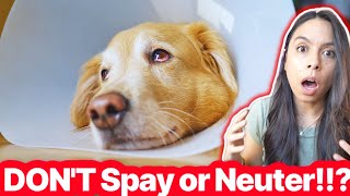 Vet's Spay/Neuter Warning ⚠️ Watch Before Acting!