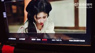 In Blossom 花间令 - Ju Jingyi