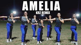 AMELIA | KRZ Remix | Dance Workout feat. Danza Carol Angels/Siblings