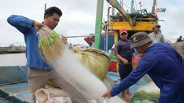 Góc nhìn 06/09/2023: Đồng hành cùng ngư dân vươn khơi bám biển | BRT TV