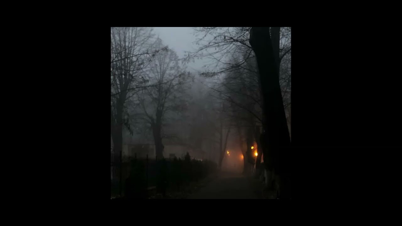 [FREE] StoopidXool. x BoofPaxkMooky x XanManShawty Type Beat "Coded"