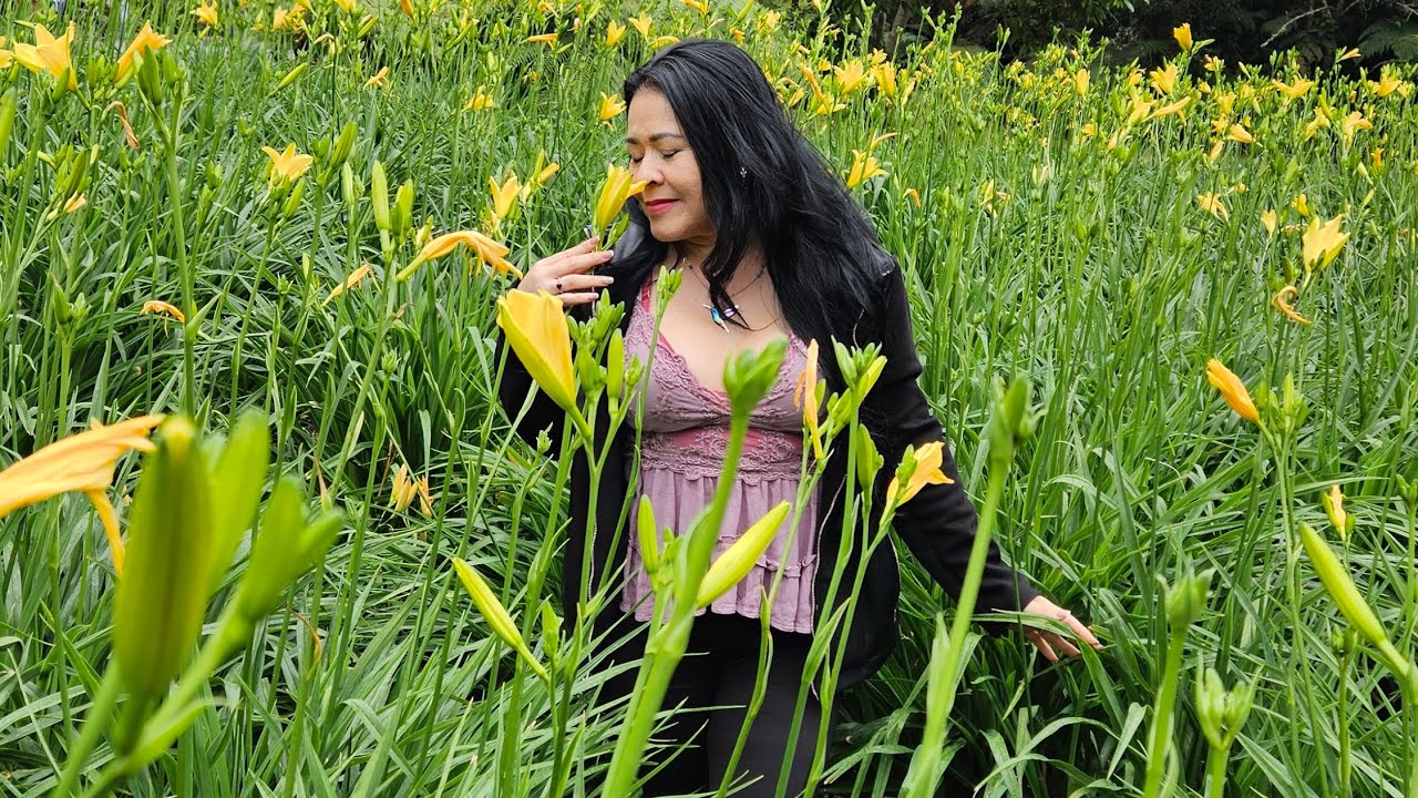 Dosis Diaria de Amor para Sanar mi Niña Interior🌹 💕⚘️