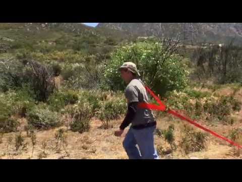 Drag Sash - in action (http://forearmforklift.com/Drag-Sash.html) Drag Sash - in action (http://forearmforklift.com/Drag-Sash.html)