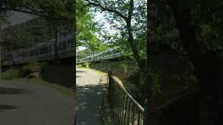 JR阪和線 紀州路快速 山中渓の紫陽花