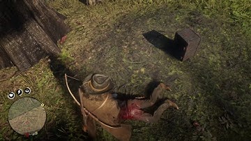 Red Dead Redemption 2 - Random Encounter - Thieves with safe