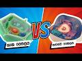 10  විද්‍යාව | ශාක හා සත්ත්ව සෛලය | 6 පාඩම  |Grade 10 Science
