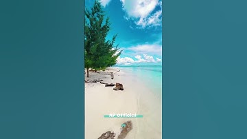 Singing nightingale short 4k clips #account #video #viral #newtrend #2023❤😍 #shorts #4k
