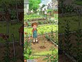 The little seed