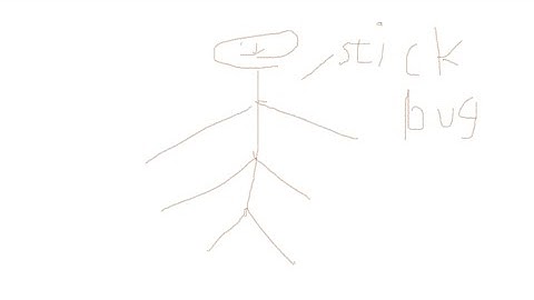 Stick Bug and Opening the 12th gift box igaogaiga[ogaeu-9agyiHPgay/0agy0ay0;YTGEA89UTGA