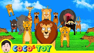 [66min] The great adventure of a baby lion in Africa 1~7ㅣanimals cartoon for childrenㅣCoCosToy