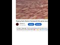 Don't say it..... #roblox #shorts #fyp #videos credit@insanenoob_real