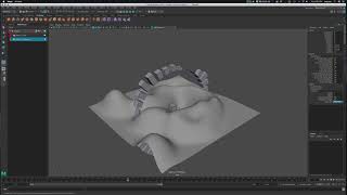 MASH : Radial and Mesh Distribute
