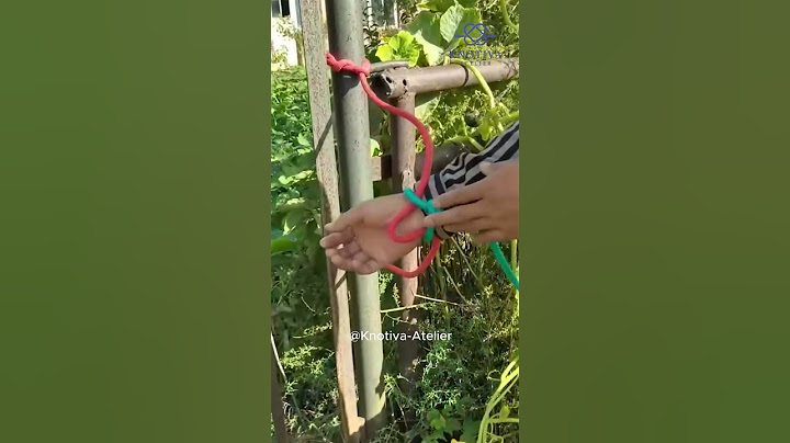 Strongest Knot Ever? #campingknots  #everydayknots #fishingknots